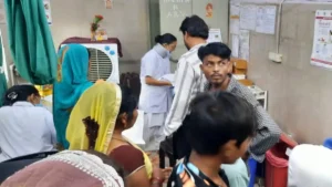 Damoh Dog Bite News: दमोह में पागल कुत्तों का आतंक, एक ही वार्ड में डेढ़ दर्जन से अधिक लोगों को बनाया शिकार