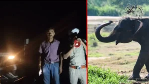Bandhavgarh Tiger Reserve: उमरिया सामान्य वन मंडल में हाथी की एंट्री, वन विभाग की टीम लोकेशन ट्रेस करने में जुटी