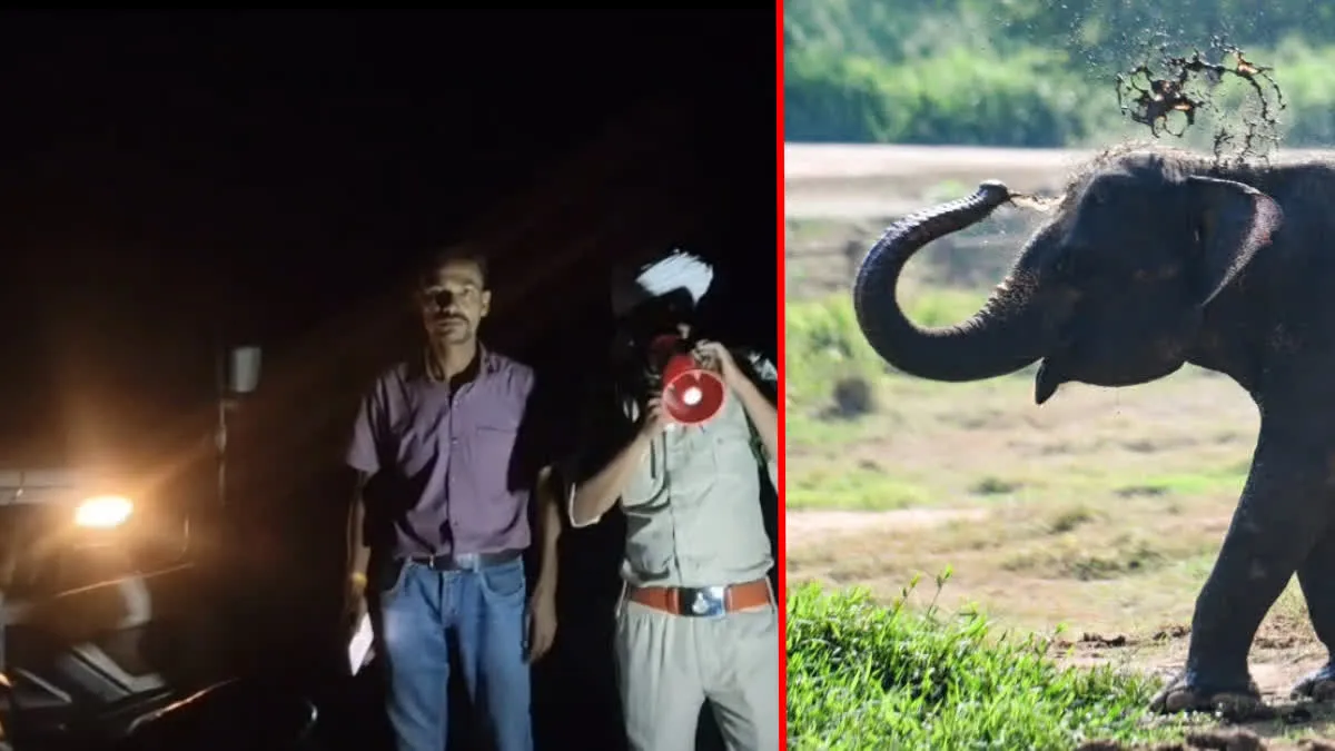 Bandhavgarh Tiger Reserve: उमरिया सामान्य वन मंडल में हाथी की एंट्री, वन विभाग की टीम लोकेशन ट्रेस करने में जुटी